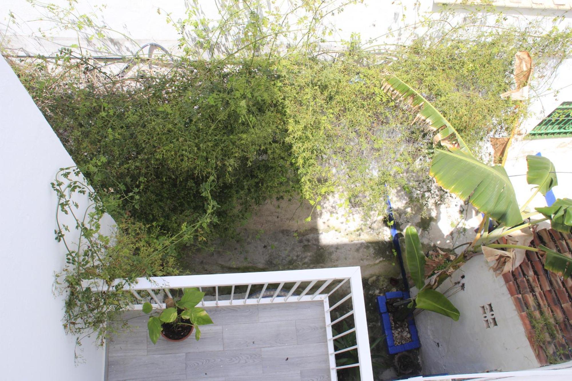 Azotea Vistas A 5M De La Playa. Recien Restaurado Apartman Conil de la Frontera Kültér fotó