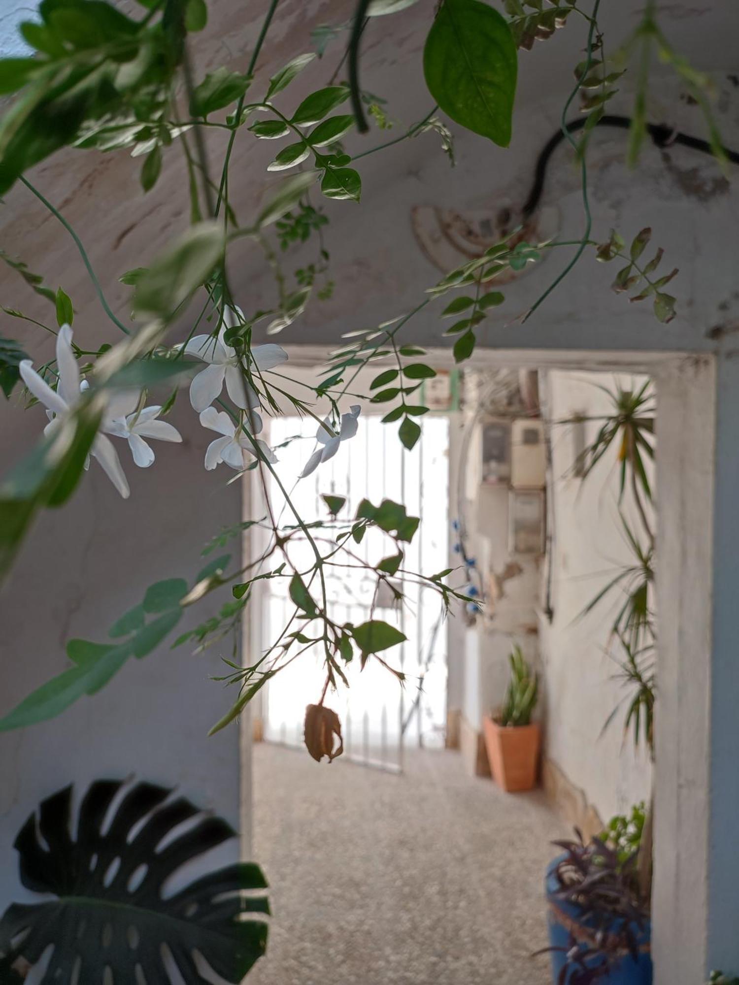 Azotea Vistas A 5M De La Playa. Recien Restaurado Apartman Conil de la Frontera Kültér fotó